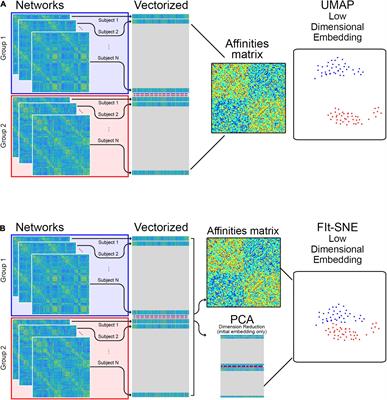 Embedding Functional Brain Networks in Low Dimensional Spaces Using Manifold Learning Techniques